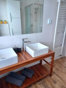 Apartmán Radenice