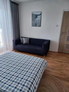 Apartmán Radenice