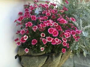 Ashbourne Holiday Homes - 阿什伯恩