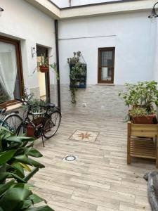 ittiturismo S.Croce img27