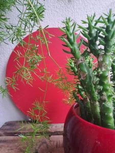 Appartement cosy avec jardin et parking