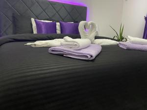 GLAMUR APARTMANI Novi Sad