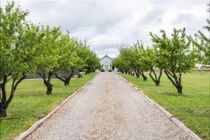 Pethick House - 阿丁格海滩