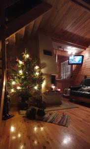 Domki Drewniane Królewska Góra