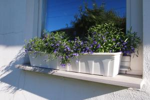 Männi Holiday House