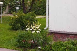 Männi Holiday House