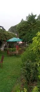 The Royal Mountain - Mukteswar