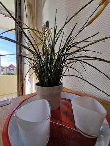 Vier Jahreszeiten 2-42