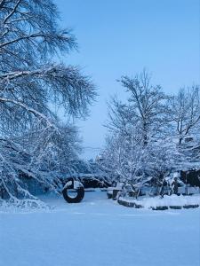 Maison Galerie Art n Pepper