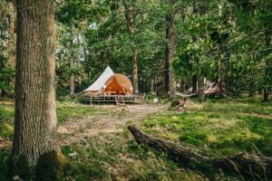 Glamping Černická obora