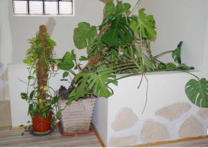 Appartements L-appartement 90m2 climatise : photos des chambres