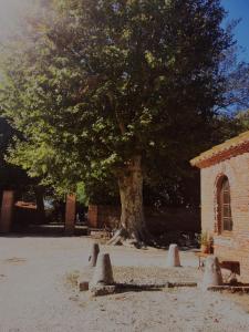 Maisons de vacances Mas Sant Jordi : photos des chambres