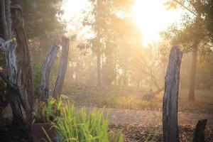 สวนสน โฮมสเตย์