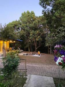 สวนสน โฮมสเตย์