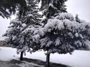 Dar lalla Fatima - Aït Taoujdate