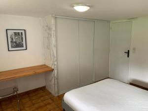 Appartements Appartement familial au bord de la Marne, jardin tropical , piscine, tennis, terrasse, parking gratuit proche Disneyland : photos des chambres