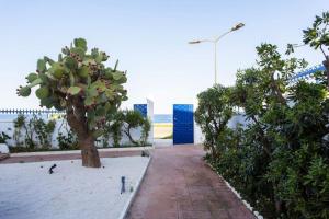 Sunset Garden - Isola delle Femmine