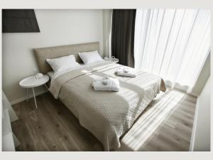 Linden Home Klaipeda Centrum Apartment