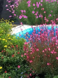 La Casa que Canta Loft en barrio turístico