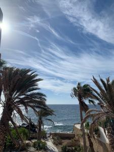 Little Paradise in El Médano 2