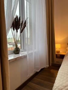 Apartament Piaskowy Kołłątaja