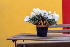 FANTASTIC apartment in Barcelona