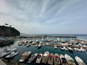 YourHome - Nettuno Apartments