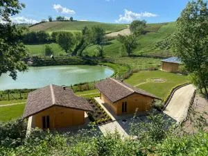 Colleolivi - Arcevia