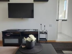 Apartman Elena Dedinje - Dedinje