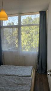 2 room Apartment, 413