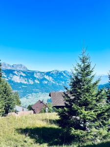 Felsenberg - CharmingStay