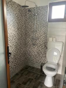 Casa Piscul Verde Vladeni