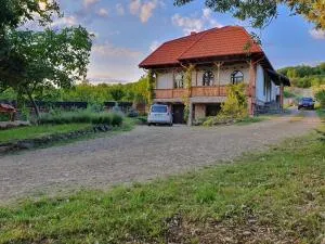 Conacul de la Vie - Tibor Bakutzy - 沙安