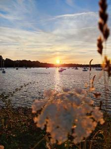 Cottage Nature Piscine partagée Vue Vilaine