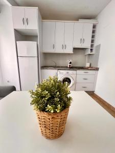 APARTAMENTO SANMIGUEL CENTRO