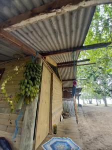 Camping Atobá Praia do Sono