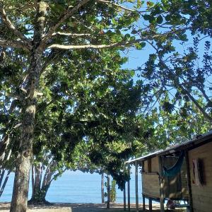 Camping Atobá Praia do Sono