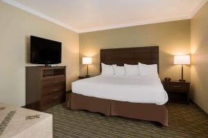 King Suite - Non-Smoking room in Best Western Holiday Hotel