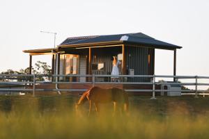 Yamba Tiny House Irene