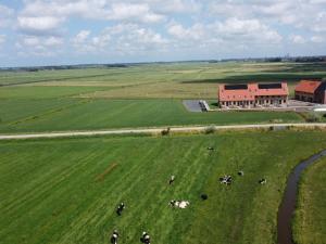 Two adjacent luxury villas in Friesland