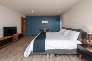 Súper loft corazón Polanco (Abedul)