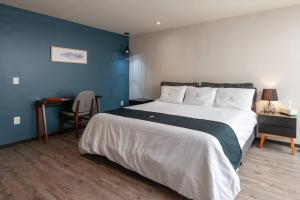 Súper loft corazón Polanco (Abedul)