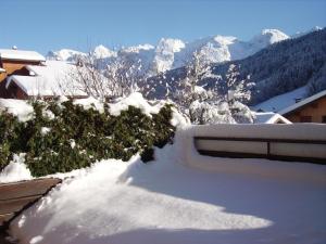 Appartements Studio cosy avec terrasse au centre du Grand-Bornand, proche des pistes et commerces - FR-1-467-83 : Appartement