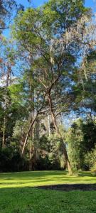 Bird Songs Getaway Accommodation