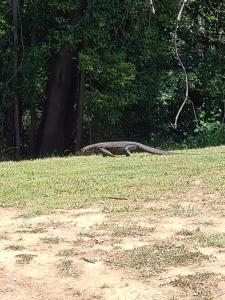 Bird Songs Getaway Accommodation