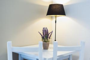 Vila Viktória - Apartmán Viktória 2