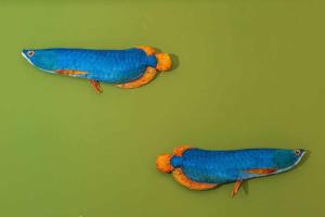 BB OgliastRoom img93