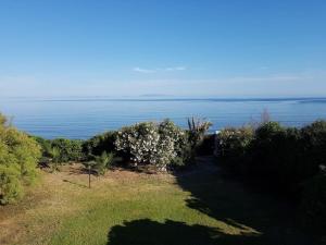 Villa Secchi bifamiliare sul mare IUNP4784 img14
