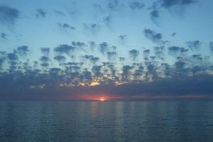 Villa Secchi bifamiliare sul mare IUNP4784 img7