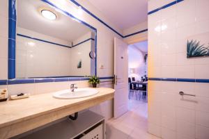 Gaviota Real en Balcon del Mar